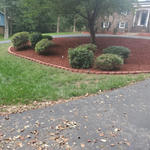 A to Z Lawn & Landscaping