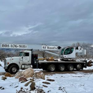 All Wood's Tree Service