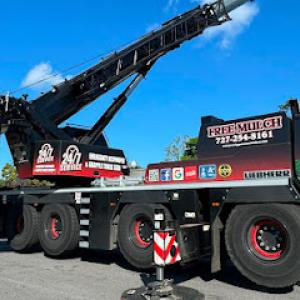 Jerry Riggers Crane & Tree