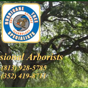 Hurricane Tree Specialists