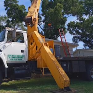 CPL Tree Service & Landscaping