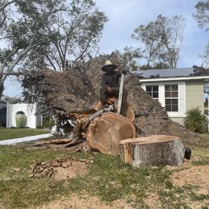 AlwaysBeKind Tree Care