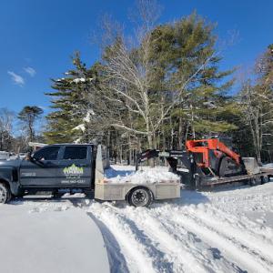 Big Timber Tree Service
