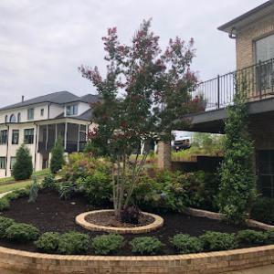 Premium Landscapes & Lawncare