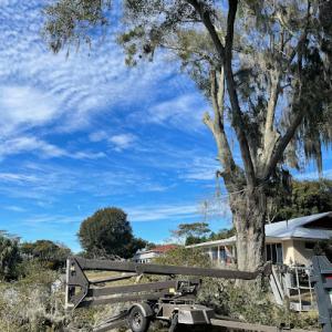 Lakeshore Tree Service