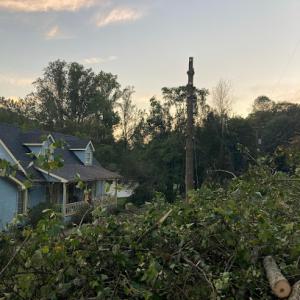 QuickCut Tree Service