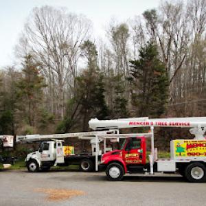Mencer's Tree Service