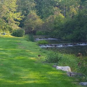 Green Horizon Lawn Spray