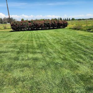 Lazcano Gardening Service