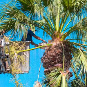 All Florida Land Services