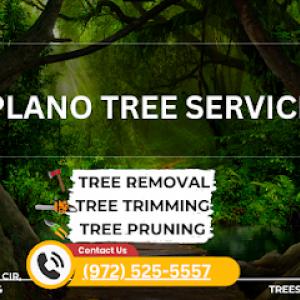 Tree Service Plano