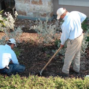 ABC Home & Commercial Services - Landscaping Department