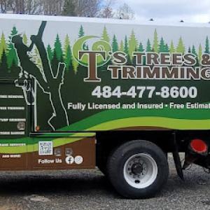 T's Trees & Trimming
