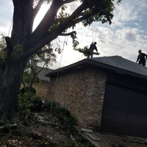 L & T Landscaping & Tree Services