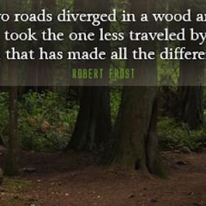 Advanced Tree Service