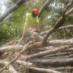 DuVall Tree Service