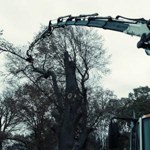 Island Edge Tree Service