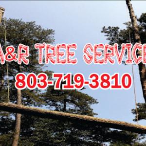 A & R Tree Service