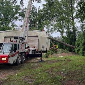Good Neighbor Tree Service
