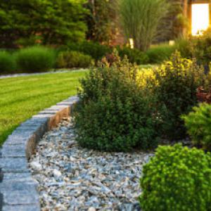 Pro Series Lawn Care