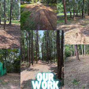 Roadrunner Land Management