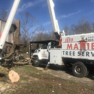 Jeff Manier Tree Service