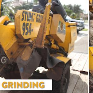 Sahara Stump Grinding