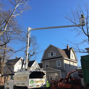 GreenLeaf Tree Care