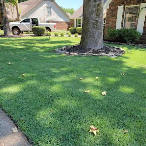 Grind City Stump Removal