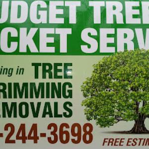 Budget Trees
