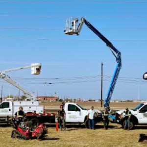 Jrs Palm Tree Service