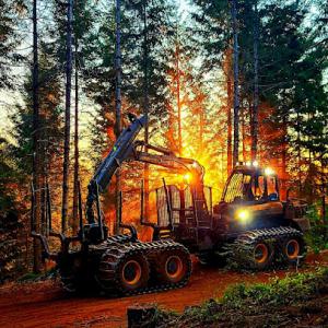 Miller Timber Services