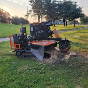 Anderson Stump Grinding & Restoration