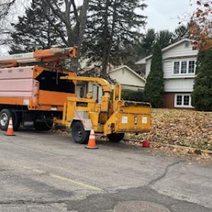Midwest Tree Removal