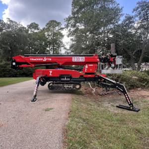 Singletary's Tree Service