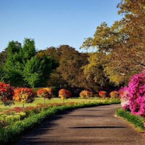 Leo's Landscaping & Tree Service