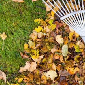 Divine Landscaping Services