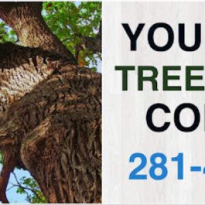 Jones Road Tree Service