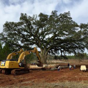 Environmental Design, Inc. - Nationwide Large Tree Moving Service