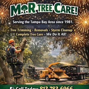 M & R Tree Care