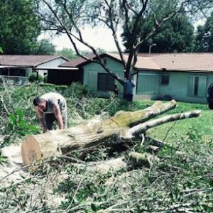 T&J Tree care & Landscape