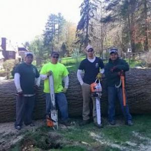 20/20 Landscaping & Tree Service