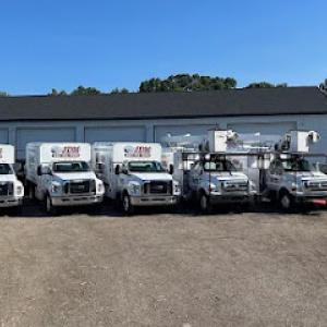 JDM Tree & Site Services