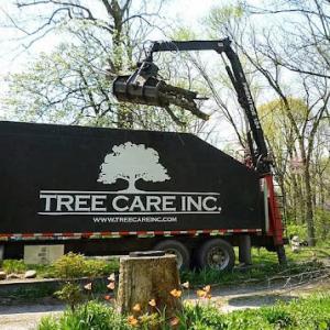 Tree Care