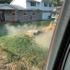 Dave's Stump Grinding