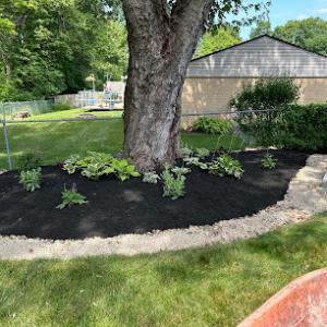 Natural Creations Lawn & Landscape