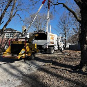 Warrensburg Tree Care