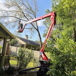 Clayton's Quality Tree Service