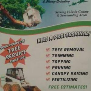 Professional Tree Care