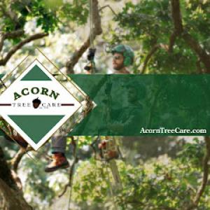 Acorn Tree Care